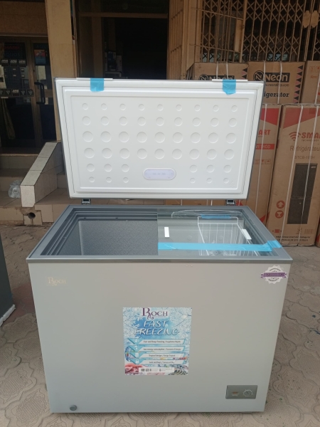 Congélateur Roch 300-B